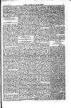 Weekly Register and Catholic Standard Saturday 19 January 1850 Page 7