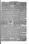Weekly Register and Catholic Standard Saturday 26 January 1850 Page 5