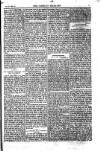 Weekly Register and Catholic Standard Saturday 26 January 1850 Page 7