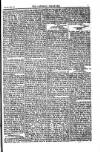 Weekly Register and Catholic Standard Saturday 02 February 1850 Page 7