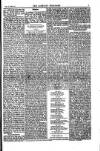 Weekly Register and Catholic Standard Saturday 09 February 1850 Page 5
