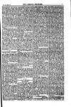 Weekly Register and Catholic Standard Saturday 09 February 1850 Page 7