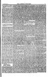 Weekly Register and Catholic Standard Saturday 16 February 1850 Page 5