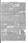 Weekly Register and Catholic Standard Saturday 16 February 1850 Page 7