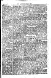 Weekly Register and Catholic Standard Saturday 23 February 1850 Page 7