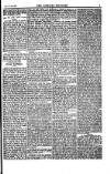 Weekly Register and Catholic Standard Saturday 16 March 1850 Page 5