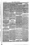 Weekly Register and Catholic Standard Saturday 20 April 1850 Page 5