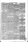 Weekly Register and Catholic Standard Saturday 20 April 1850 Page 11