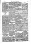 Weekly Register and Catholic Standard Saturday 11 May 1850 Page 5