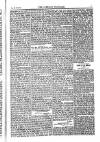 Weekly Register and Catholic Standard Saturday 25 May 1850 Page 7