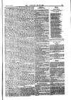 Weekly Register and Catholic Standard Saturday 25 May 1850 Page 11
