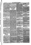Weekly Register and Catholic Standard Saturday 08 June 1850 Page 5