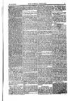 Weekly Register and Catholic Standard Saturday 15 June 1850 Page 7