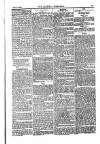 Weekly Register and Catholic Standard Saturday 15 June 1850 Page 15