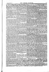 Weekly Register and Catholic Standard Saturday 22 June 1850 Page 5