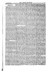 Weekly Register and Catholic Standard Saturday 22 June 1850 Page 11