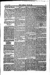 Weekly Register and Catholic Standard Saturday 29 June 1850 Page 7