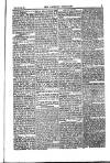 Weekly Register and Catholic Standard Saturday 06 July 1850 Page 7