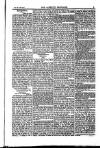 Weekly Register and Catholic Standard Saturday 13 July 1850 Page 5