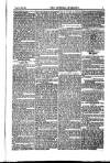 Weekly Register and Catholic Standard Saturday 13 July 1850 Page 7