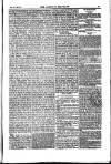 Weekly Register and Catholic Standard Saturday 13 July 1850 Page 15