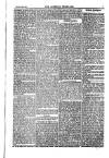 Weekly Register and Catholic Standard Saturday 27 July 1850 Page 3