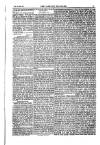 Weekly Register and Catholic Standard Saturday 27 July 1850 Page 11