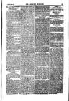 Weekly Register and Catholic Standard Saturday 27 July 1850 Page 15