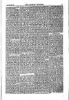 Weekly Register and Catholic Standard Saturday 03 August 1850 Page 5