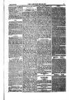 Weekly Register and Catholic Standard Saturday 24 August 1850 Page 15