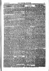 Weekly Register and Catholic Standard Saturday 21 September 1850 Page 15