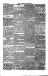 Weekly Register and Catholic Standard Saturday 28 September 1850 Page 5
