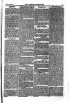 Weekly Register and Catholic Standard Saturday 12 October 1850 Page 13