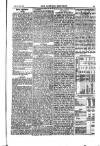 Weekly Register and Catholic Standard Saturday 19 October 1850 Page 15