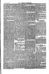 Weekly Register and Catholic Standard Saturday 26 October 1850 Page 3