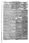 Weekly Register and Catholic Standard Saturday 26 October 1850 Page 15