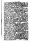 Weekly Register and Catholic Standard Saturday 09 November 1850 Page 7