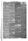 Weekly Register and Catholic Standard Saturday 16 November 1850 Page 11