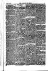 Weekly Register and Catholic Standard Saturday 07 December 1850 Page 3