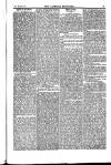 Weekly Register and Catholic Standard Saturday 21 December 1850 Page 13