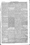Weekly Register and Catholic Standard Saturday 01 March 1851 Page 7