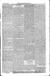 Weekly Register and Catholic Standard Saturday 01 March 1851 Page 11