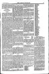 Weekly Register and Catholic Standard Saturday 01 March 1851 Page 13