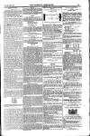 Weekly Register and Catholic Standard Saturday 01 March 1851 Page 15