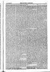 Weekly Register and Catholic Standard Saturday 15 March 1851 Page 11