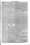Weekly Register and Catholic Standard Saturday 15 March 1851 Page 13