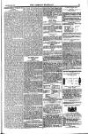 Weekly Register and Catholic Standard Saturday 15 March 1851 Page 15