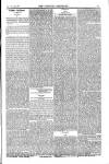 Weekly Register and Catholic Standard Saturday 22 March 1851 Page 11