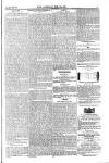 Weekly Register and Catholic Standard Saturday 22 March 1851 Page 15