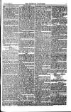 Weekly Register and Catholic Standard Saturday 07 June 1851 Page 3